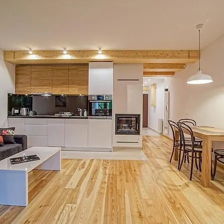 Mountain Chalubinskiego Apartment