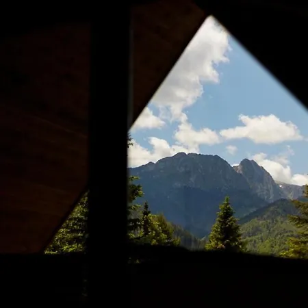 Mountain Chalubinskiego Apartment *
